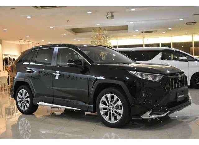 
								2024 Toyota RAV4 2.0 GZ Package 4WD full									