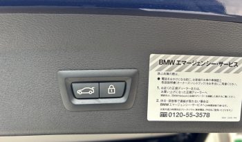 
										2019/02 BMW X1 xDrive 20i xLine full									