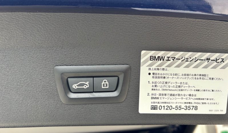 
								2019/02 BMW X1 xDrive 20i xLine full									