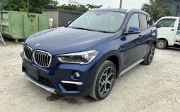 2019/02 BMW X1 xDrive 20i xLine