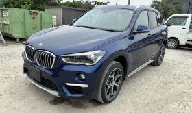 2019/02 BMW X1 xDrive 20i xLine