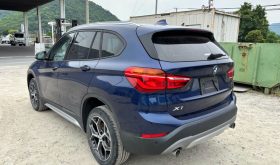 2019/02 BMW X1 xDrive 20i xLine
