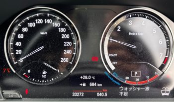 
										2019/02 BMW X1 xDrive 20i xLine full									